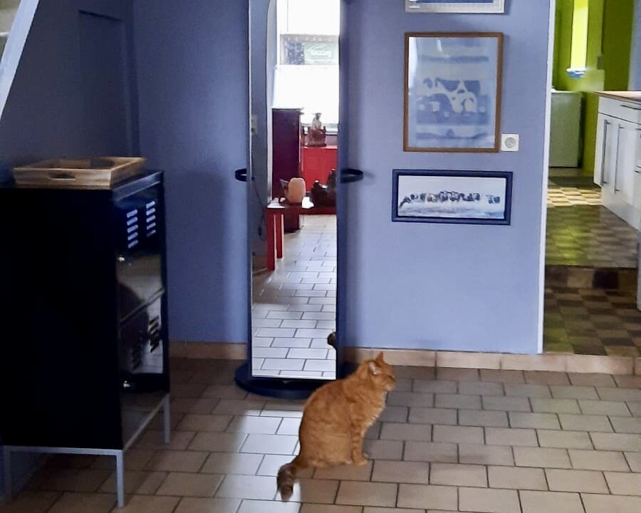 0313e557-7b20-478c-8630-8dcbb2889d3e